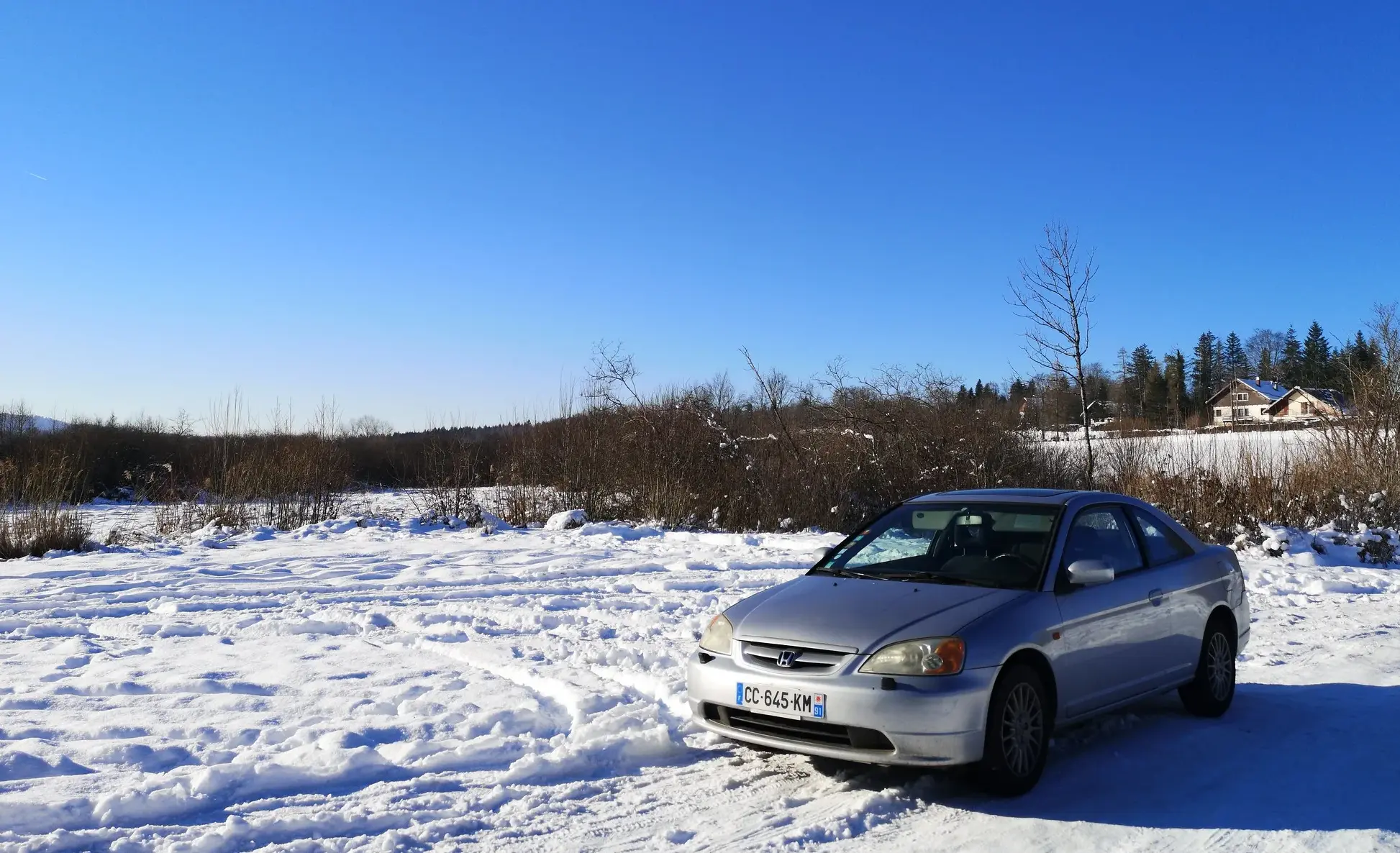 Credit Score Insurance Impact